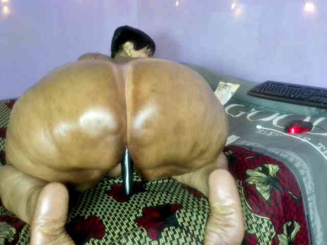 Big-Ass-Wilma webcam