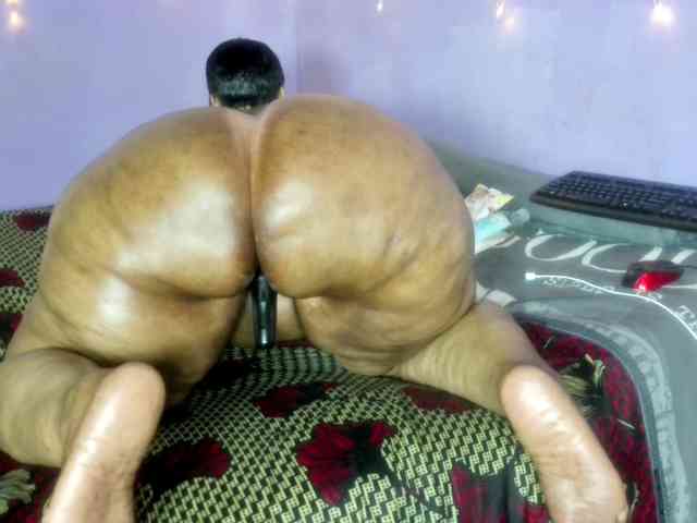 Big-Ass-Wilma webcam