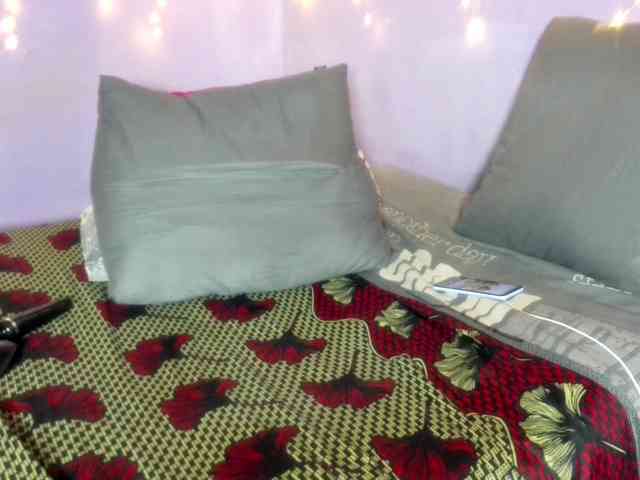 Big-Ass-Wilma webcam