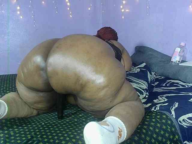 Big-Ass-Wilma webcam