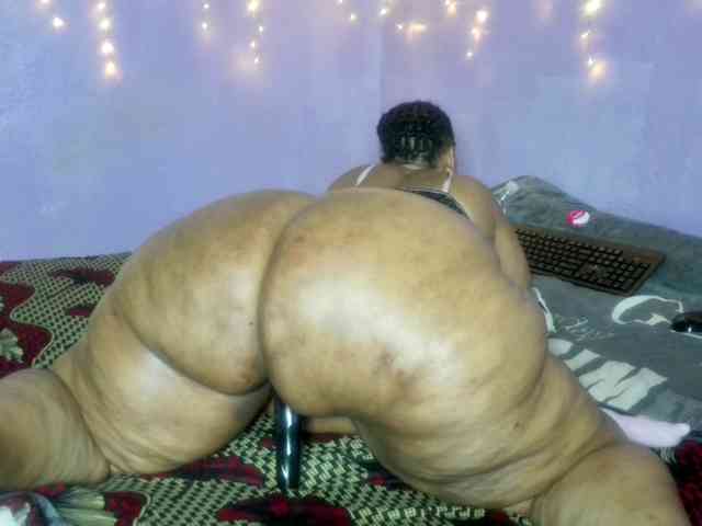 Big-Ass-Wilma webcam