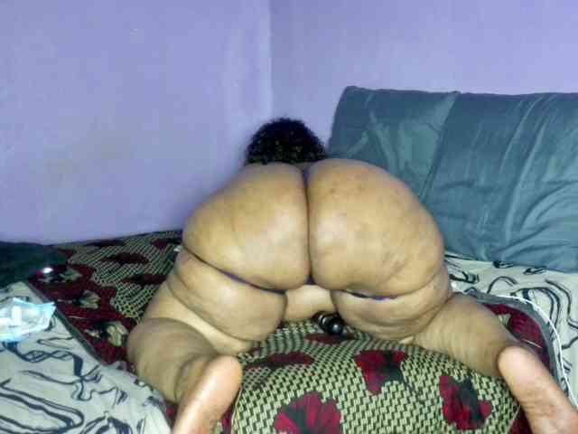 Big-Ass-Wilma webcam