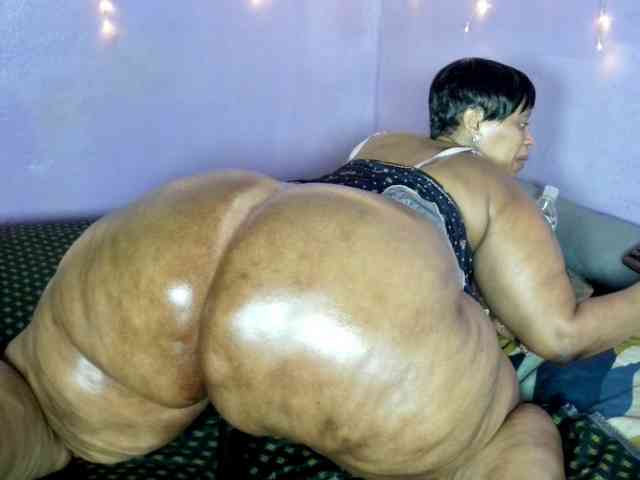 Big-Ass-Wilma webcam