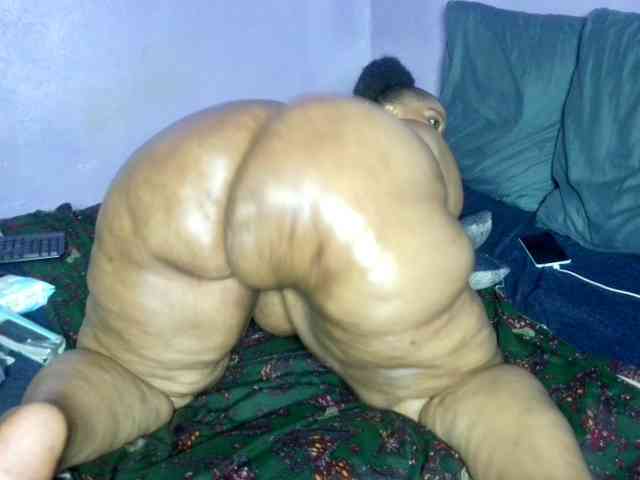 Big-Ass-Wilma webcam