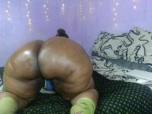 Big-Ass-Wilma webcam