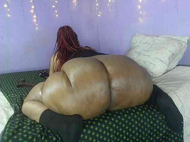 Big-Ass-Wilma webcam