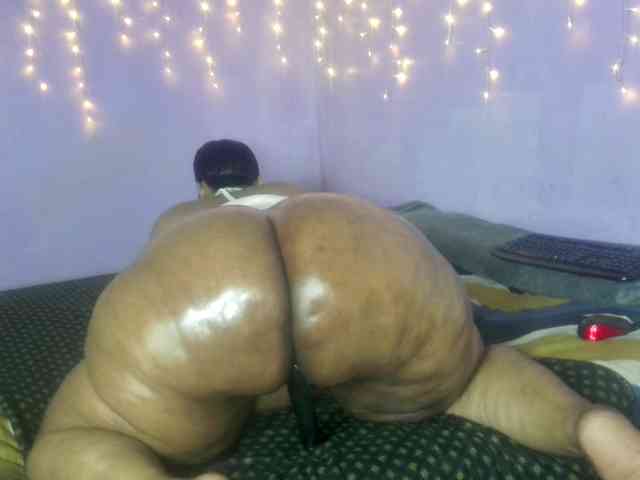 Big-Ass-Wilma webcam