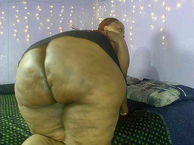 Big-Ass-Wilma webcam