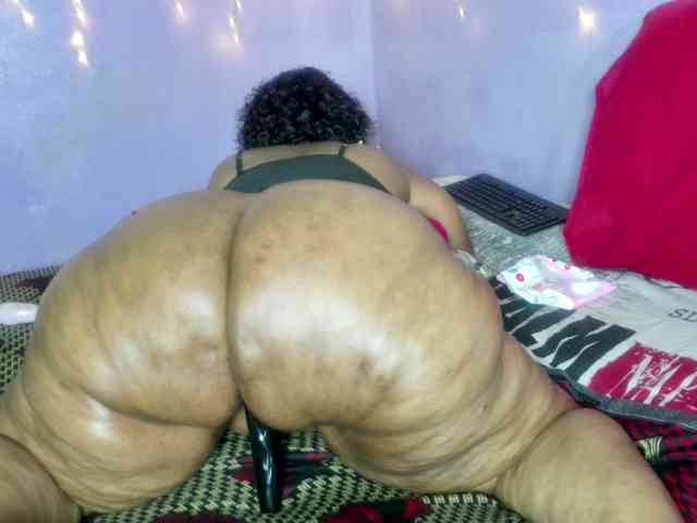 Big-Ass-Wilma webcam