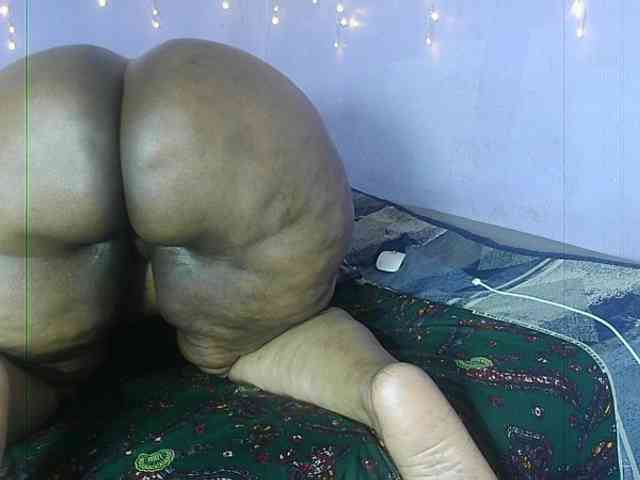 Big-Ass-Wilma webcam