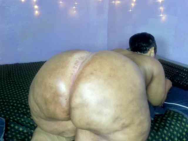 Big-Ass-Wilma Big-Ass-Wilma