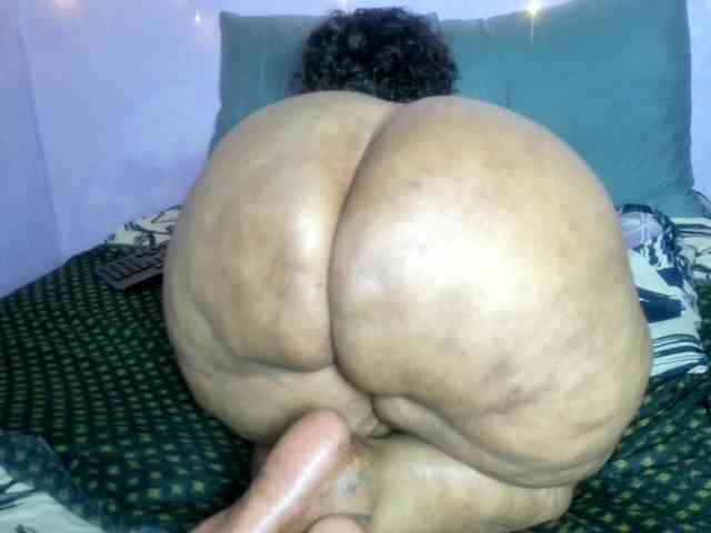 Big-Ass-Wilma webcam