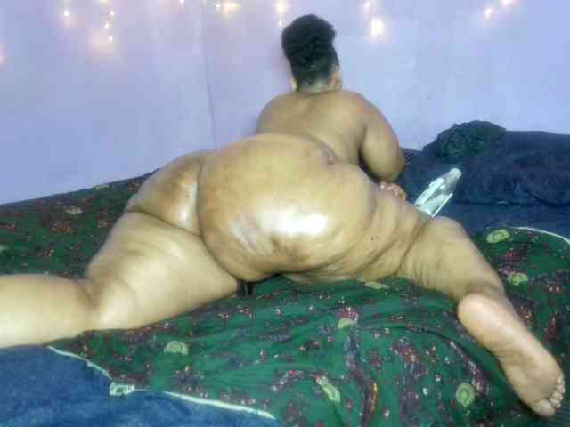 Big-Ass-Wilma webcam