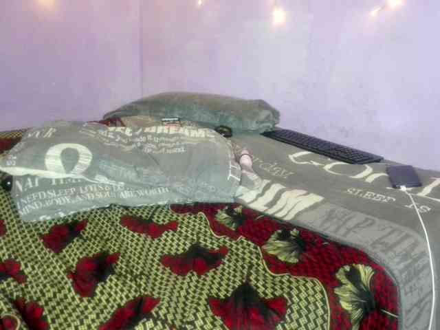 Big-Ass-Wilma webcam