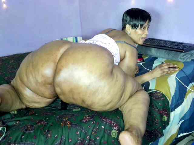 Big-Ass-Wilma webcam