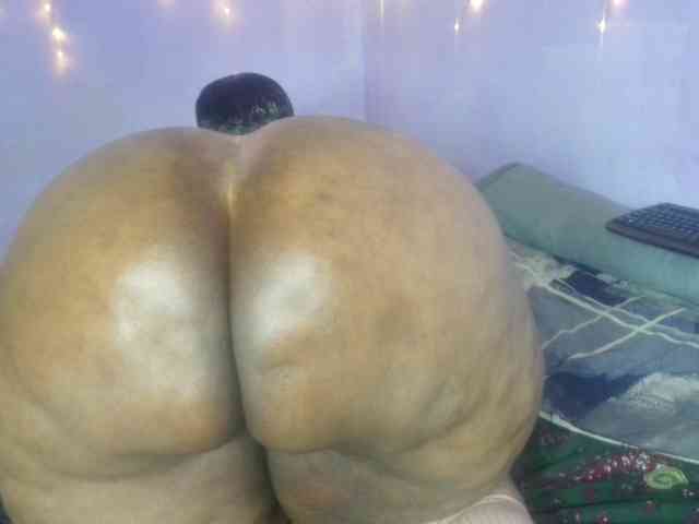 Big-Ass-Wilma webcam