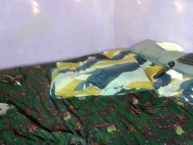 Big-Ass-Wilma webcam