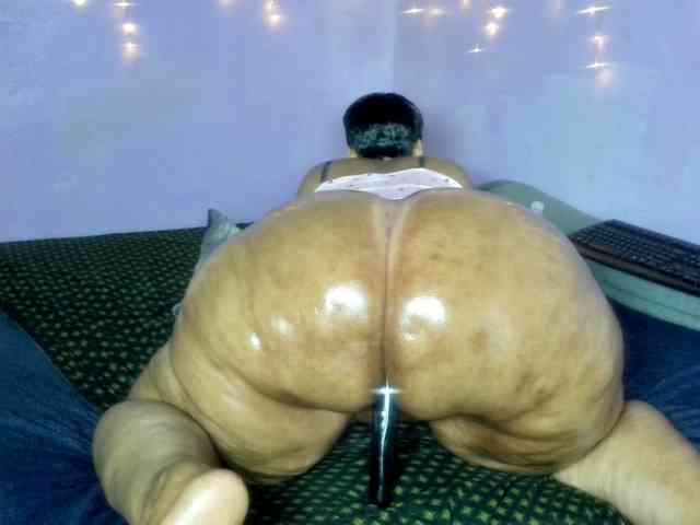 Big-Ass-Wilma webcam