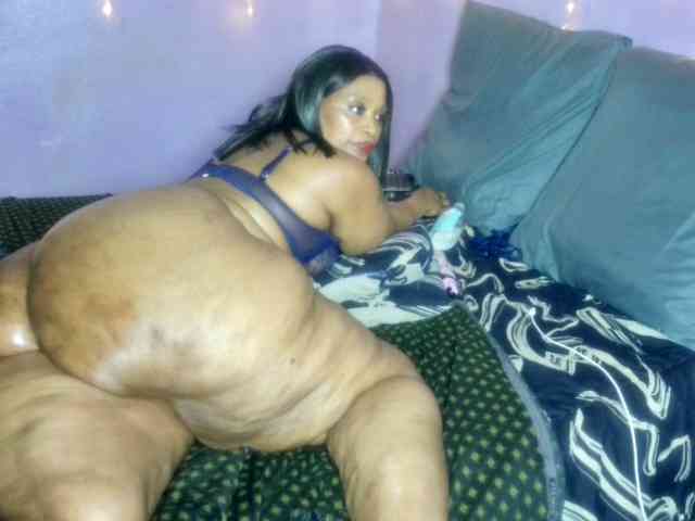 Big-Ass-Wilma webcam