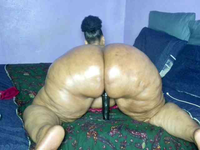 Big-Ass-Wilma webcam