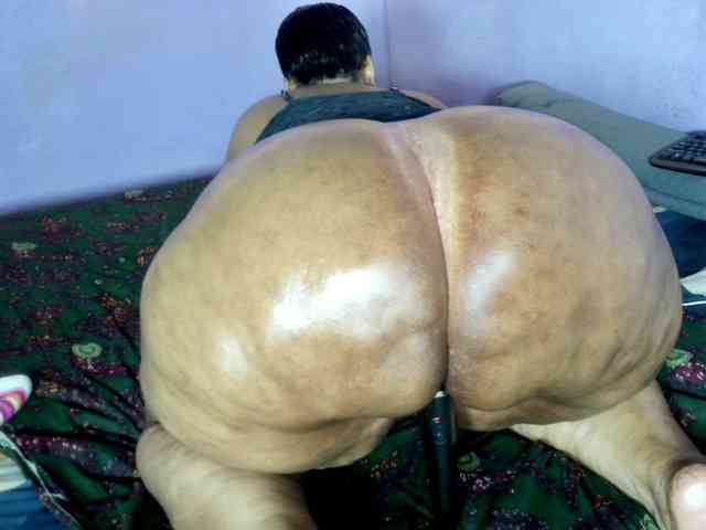 Big-Ass-Wilma webcam