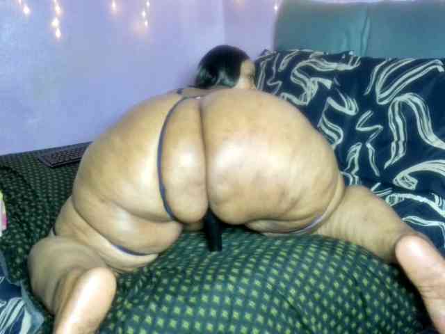 Big-Ass-Wilma webcam