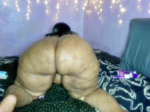 Big-Ass-Wilma webcam