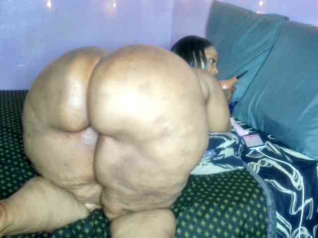 Big-Ass-Wilma webcam