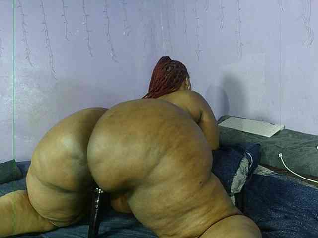 Big-Ass-Wilma webcam