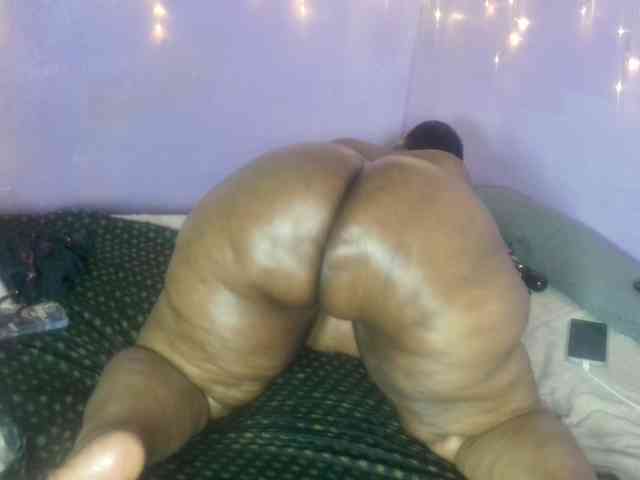 Big-Ass-Wilma webcam