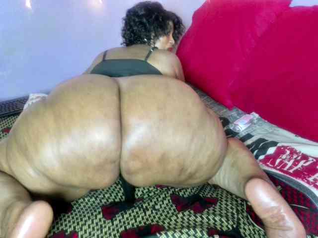 Big-Ass-Wilma webcam