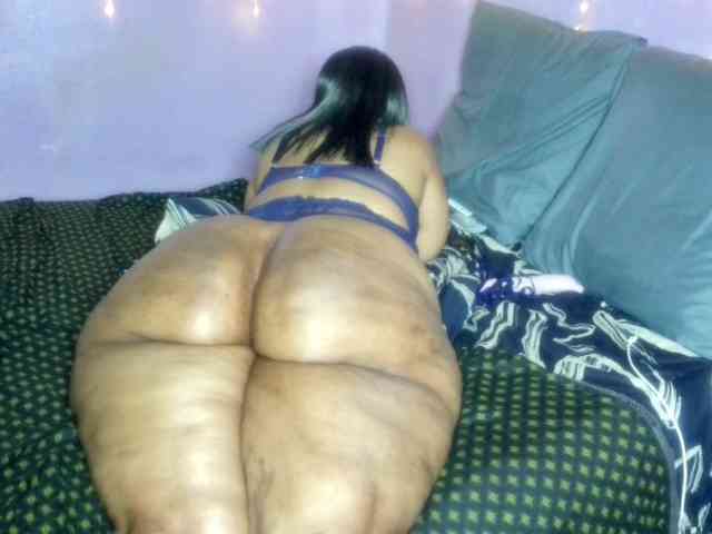 Big-Ass-Wilma webcam