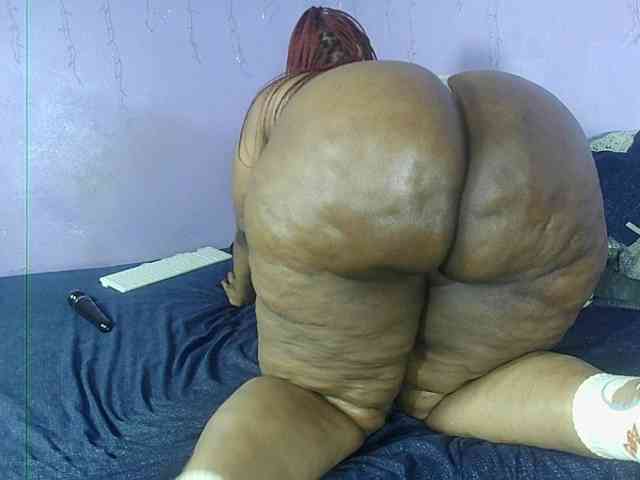Big-Ass-Wilma webcam