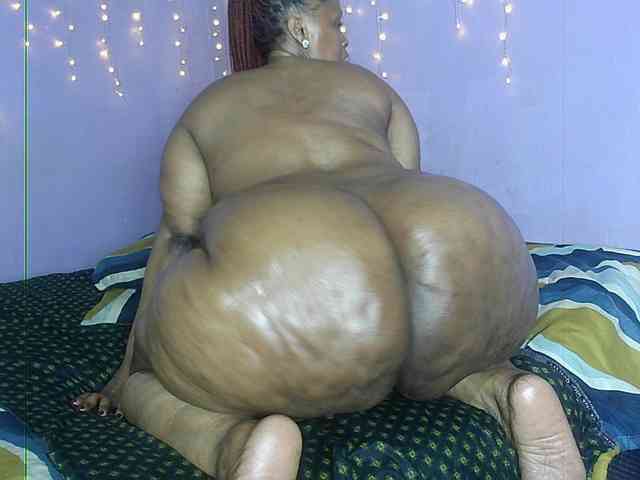 Big-Ass-Wilma webcam