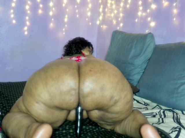 Big-Ass-Wilma webcam