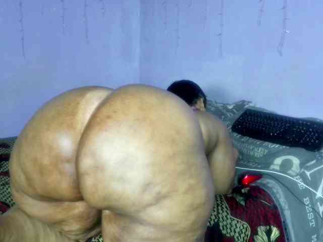 Big-Ass-Wilma webcam