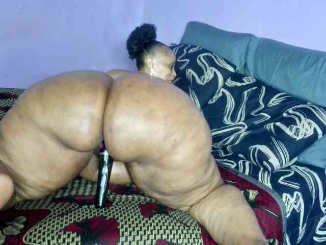 Big-Ass-Wilma webcam