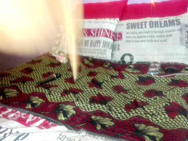 Big-Ass-Wilma webcam