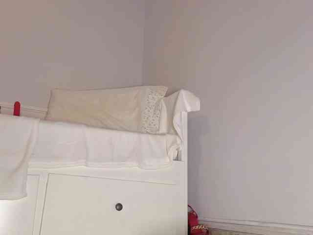 Fallen_Virtue webcam