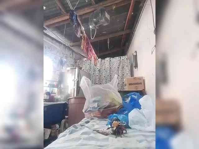 pinaymaniac69 webcam