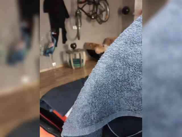 live sex hd A-squirter
