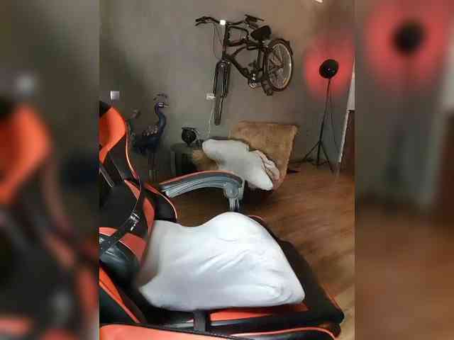 BDSM-Queen webcam