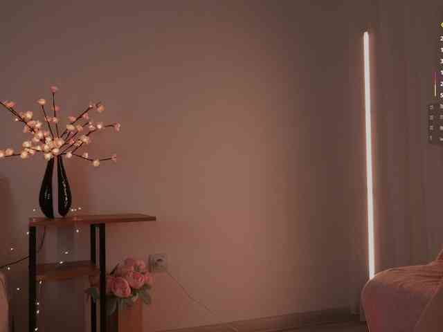 ZopaMARMELADNA webcam