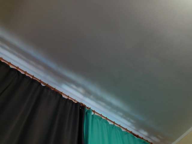 Monkey104's BongaCams show and profile