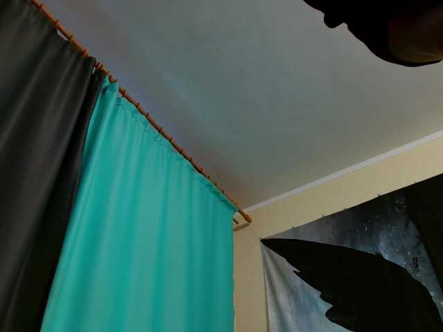 Monkey104's BongaCams show and profile