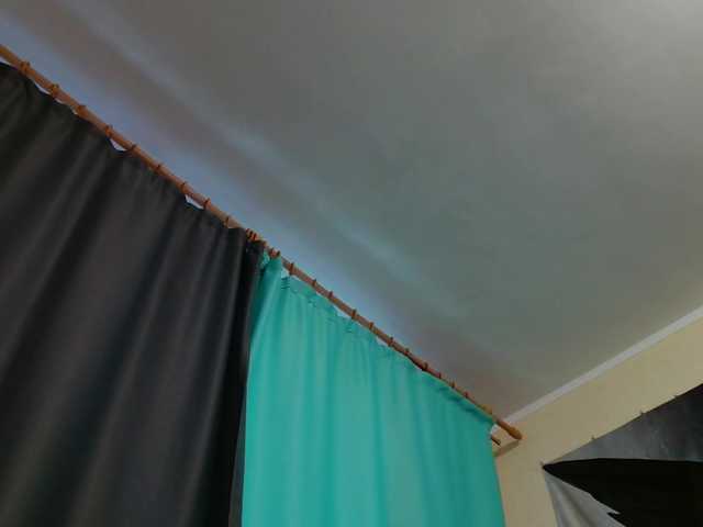 Monkey104's BongaCams show and profile