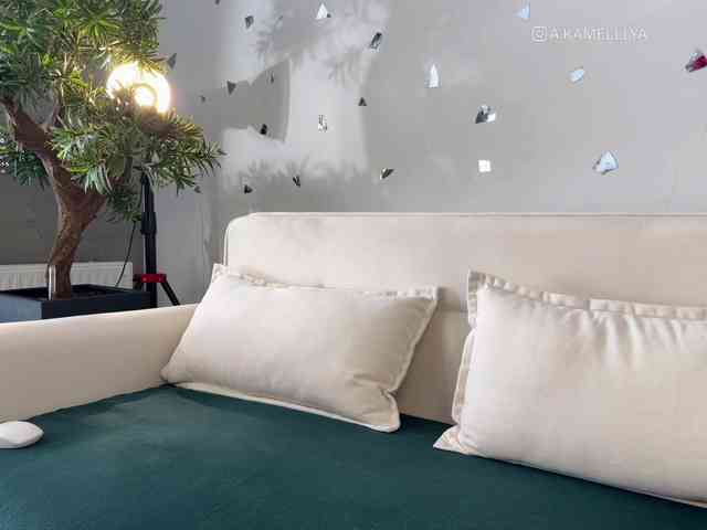 Kamelllya webcam