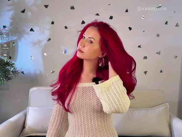 Kamelllya webcam