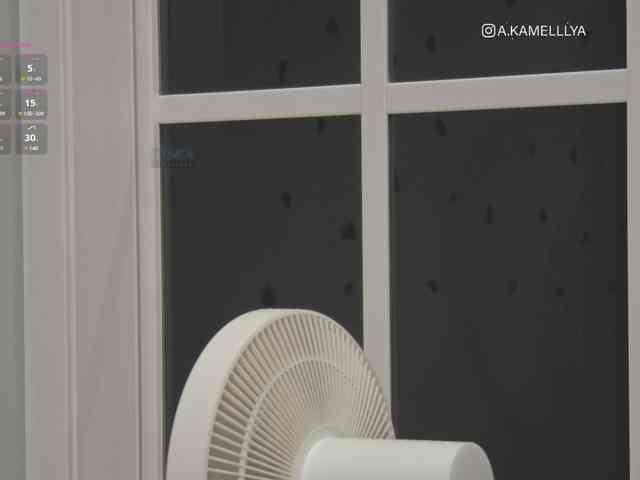 Kamelllya webcam