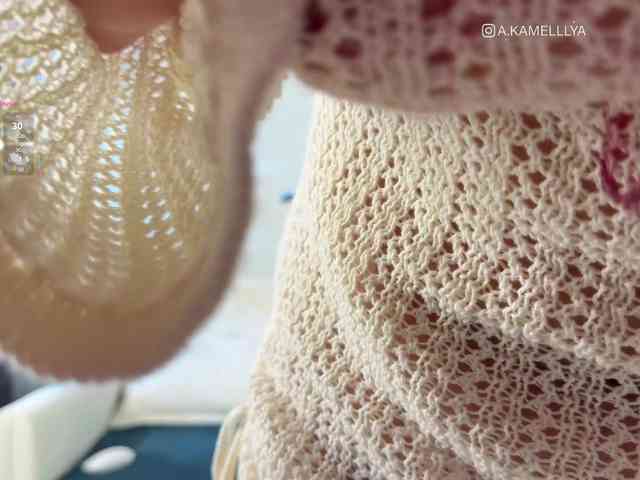 Kamelllya webcam